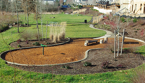 Magnolia Meadows Park